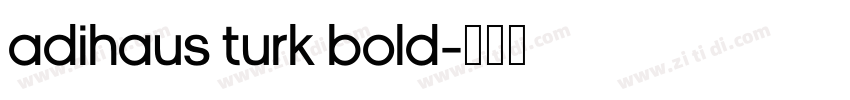 AdiHaus Turk Bold字体转换